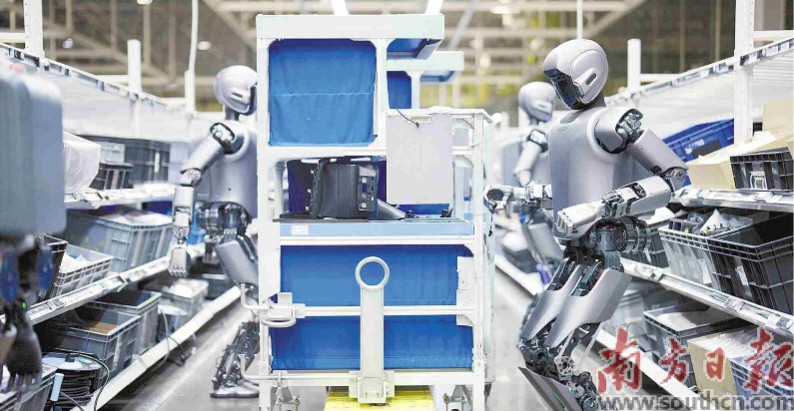 優(yōu)必選工業(yè)人形機(jī)器人在工廠開展協(xié)同實(shí)訓(xùn)。 南方日報(bào)記者 朱洪波 通訊員 羅艷 攝